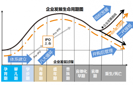 绩效管理咨询常问到的绩效管理循环是什么？